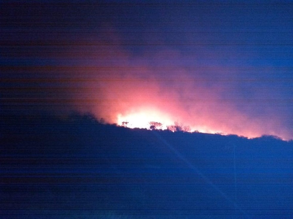 Chamas atingiram reserva em Presidente Epitácio (Foto: Corpo de Bombeiros/Divulgação)
