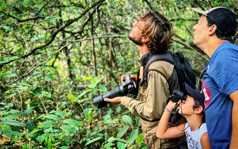 Prática de observação de aves vem crescendo no Brasil — Foto: Ernani Baraldi