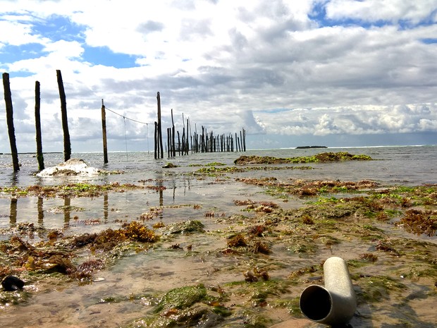 Plástico industrial se mistura a pedras em praia de Maceió (Foto: Waldson Costa / G1)