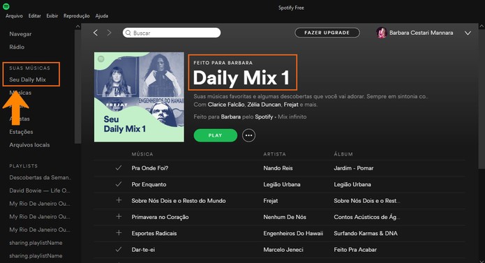 Daily Mix monta playlist com músicas personalizadas para você (Foto: Reprodução/Barbara Mannara)