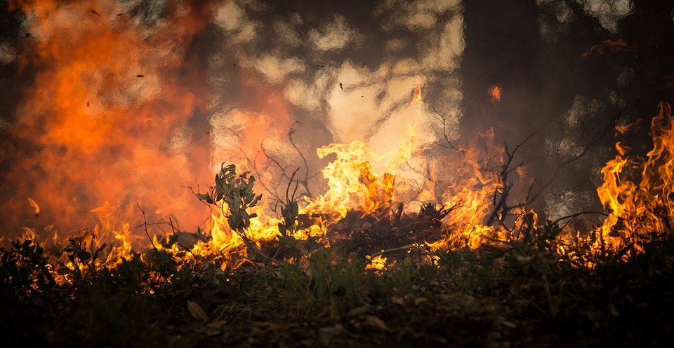 Nutrientes vindos da África são liberados durante incêndios e são levados pelo vento até a Amazônia (Foto: Pixabay)