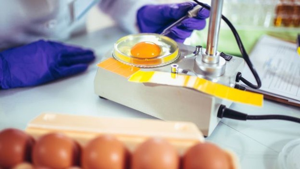 Ovos, leite, carnes... A ciência tem hoje métodos para detectar microrganismos resistentes nos alimentos, mas poucos países fazem esse monitoramento sistematicamente — Foto: Getty Images