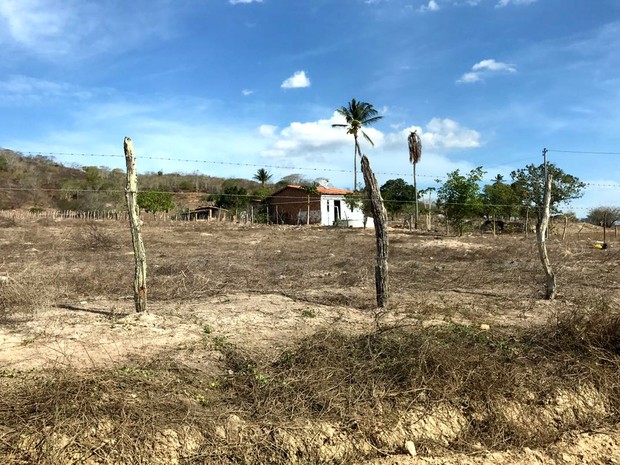Zona rural de Feira de Santana, na Bahia, sofre com estiagem prolongada (Foto: Alan Tiago Alves/G1)