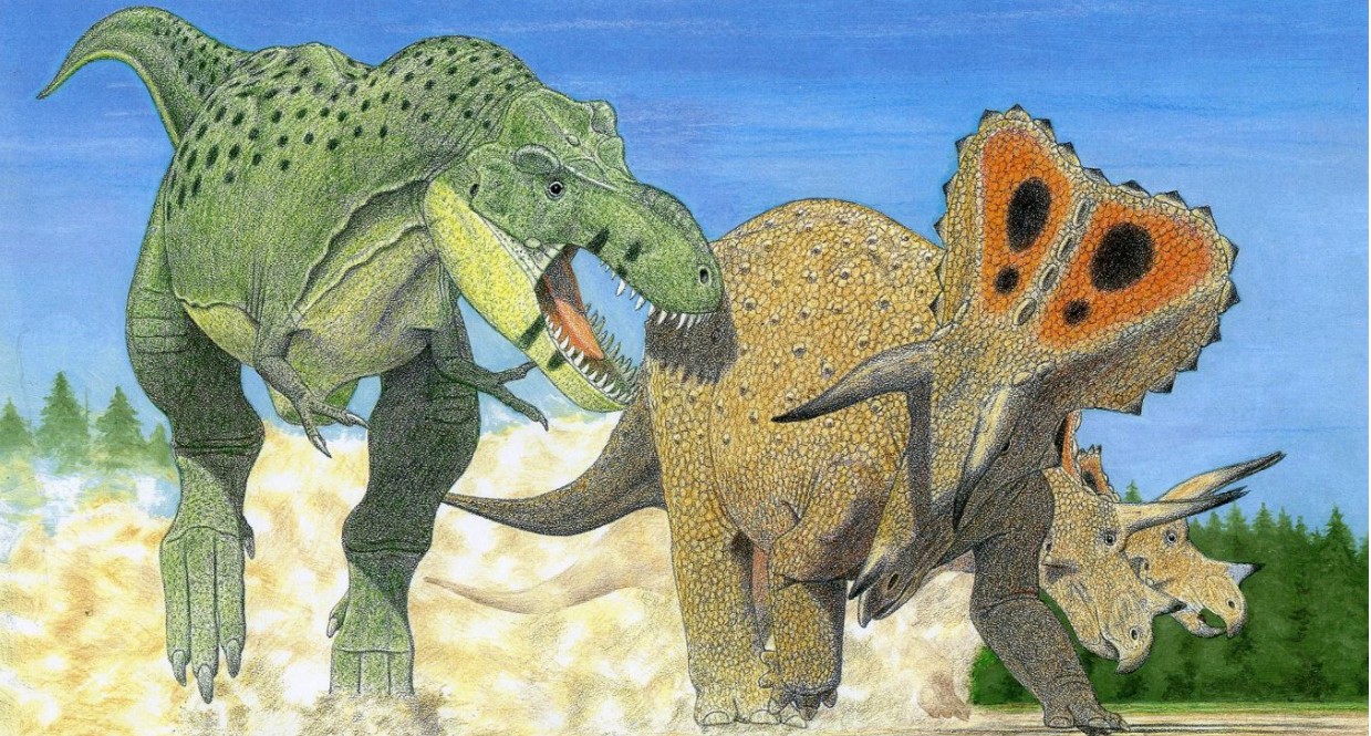 Imagem ilustrativa dos tipos de Tiranossauros Rex (Foto: Gregory S. Paul 2022)