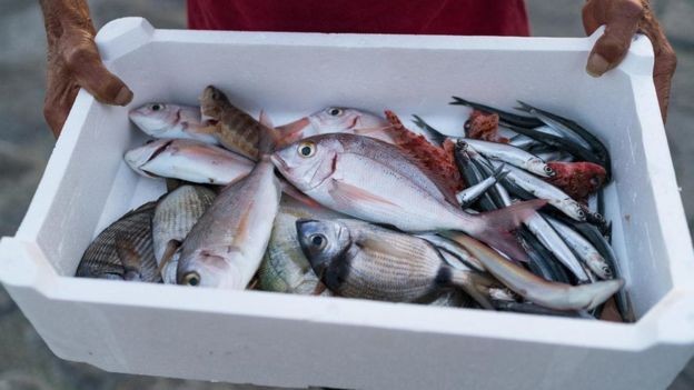 Em breve, os compradores poderão aprender a 'história' dos peixes que vão comer (Foto: GETTY IMAGES/BBC News Brasil)