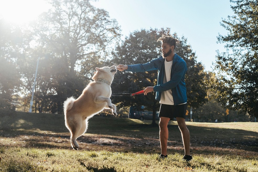 Além da necessidade de mais exercícios, o apetite do animal também pode aumentar, principalmente quando não há um ambiente adequado para conservar o calor do pet — Foto: Pexels / Zen Chung / Creative Commons