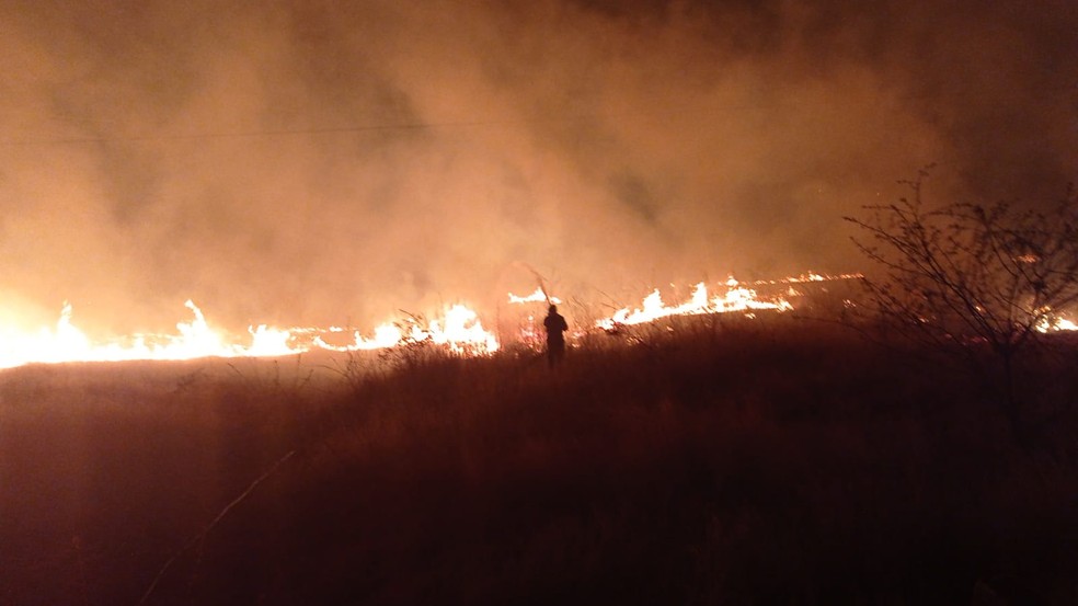 Corpo de Bombeiros registra cinco incêndios florestais em menos de 24h no interior do RN — Foto: Divulgação/CBMRN