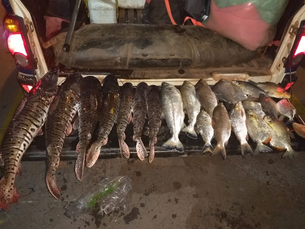 Pescadores flagrados com pescado irregular estão sujeito a multas — Foto: Polícia Militar de MT
