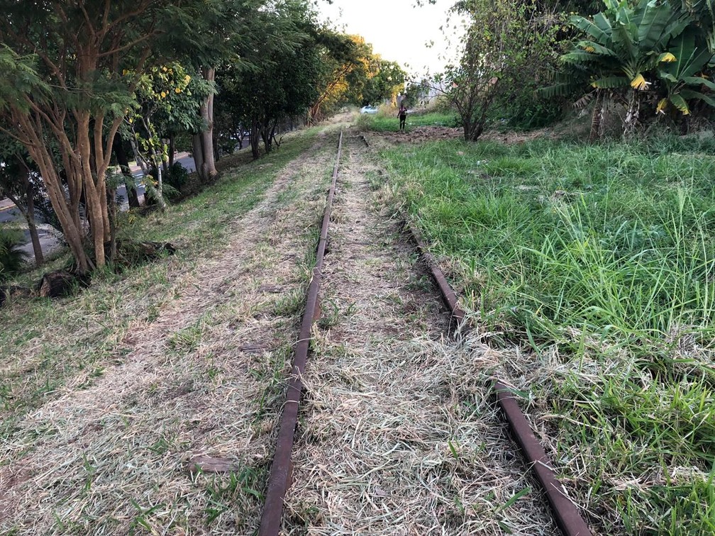 Ferrovia está abandonada na região de Presidente Prudente — Foto: Luís Augusto Pires Batista/TV Fronteira