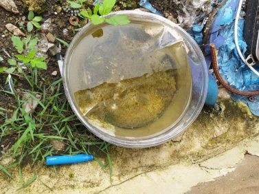 Aedes aegypti: Triângulo, Alto Paranaíba e Noroeste registram mais de 3 mil casos prováveis de dengue em menos de 3 meses