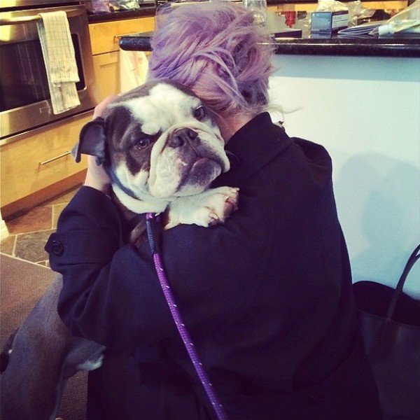 Kelly Osbourne abraçada a Willy, seu buldogue. (Foto: Instagram)