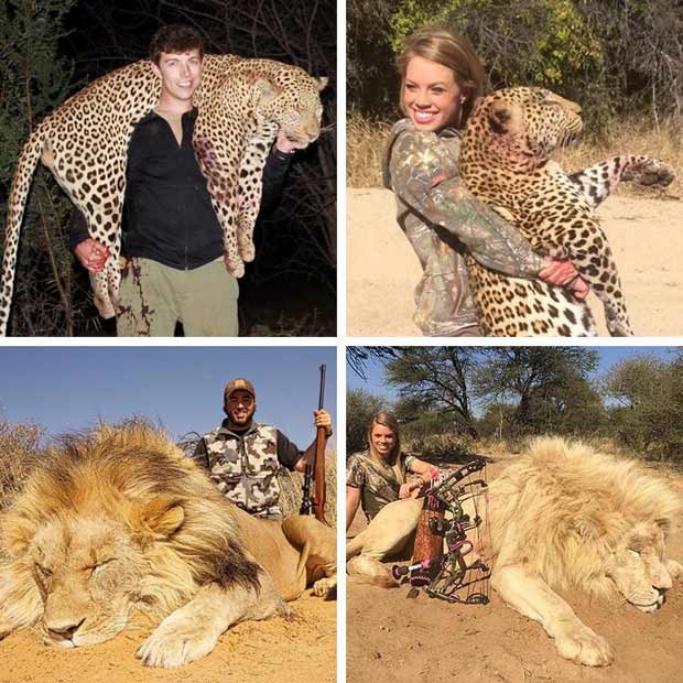 A norte-americana Kendall Jones (à dir.) posa com alguns animais abatidos em suas caçadas; ao lado, alguns dos participantes do concurso (Foto: Reprodução / Facebook)