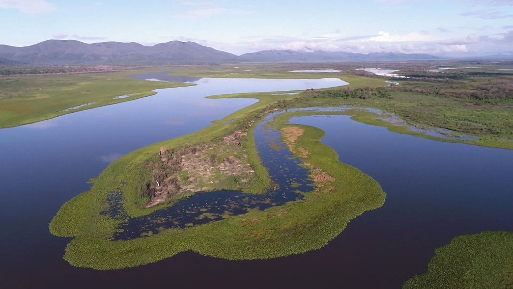 O Pantanal ressurge gigante após a tragédia ambiental que atingiu o bioma — Foto: Globo Repórter