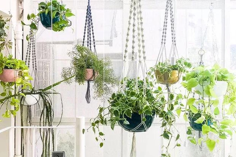 Jardim suspenso: 10 ideias para ter plantas em espaços pequenos |  Paisagismo | Casa Vogue