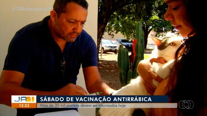 Mais de 30 mil animais devem tomar a vacina antirrábica em Palmas