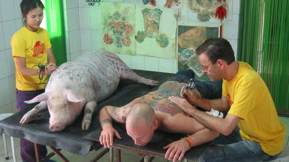 O belga Wim Delvoye (direita), famoso por tatuar porcos, é o artista que projetou tatuagem de Tim Steiner (Foto: Wim Delvoye)