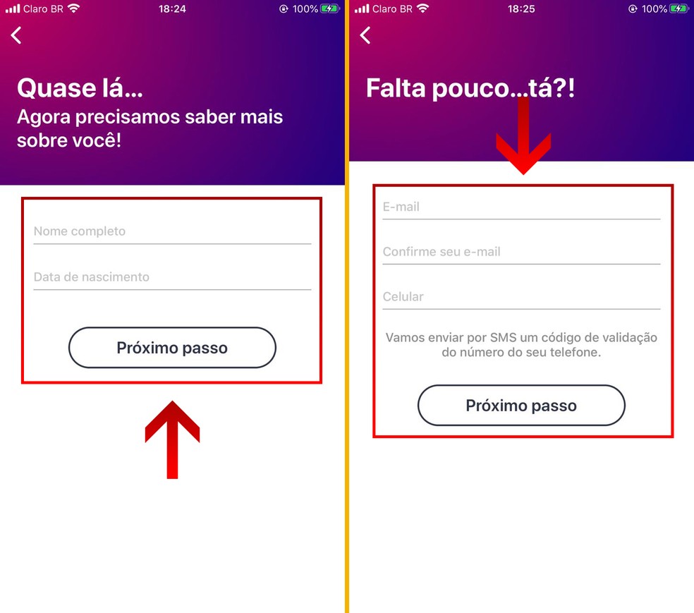 Informe seus dados pessoais, como nome, data de nascimento, e-mail e celular, e clique em “Próximo passo” — Foto: Reprodução/Leandro Eduardo