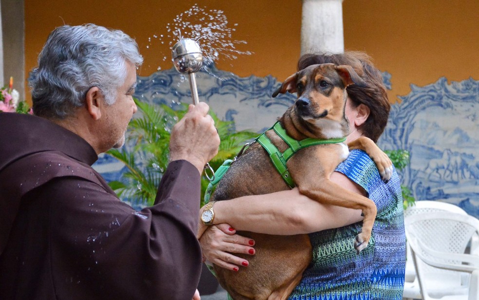 São Francisco de Assis é considerado o santo protetor dos animais — Foto: Pablo Kennedy/Futura Press/Estadão Conteúdo