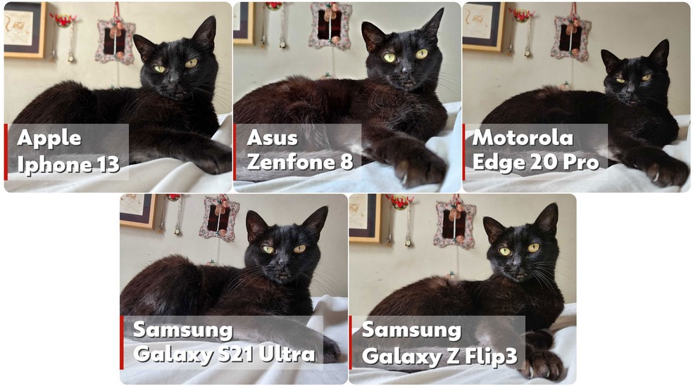 Smartphones premium: teste do gato preto, foto diurna — Foto: Henrique Martin/g1