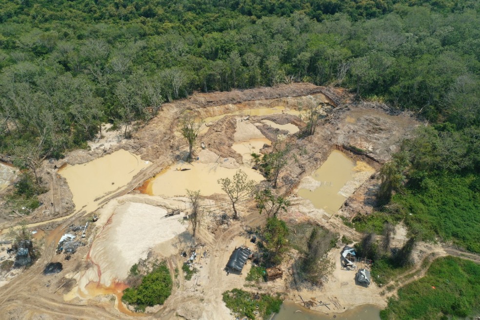 Contamina&ccedil;&atilde;o da &aacute;gua pode mudar o processo de reprodu&ccedil;&atilde;o dos peixes &mdash; Foto: Reprodu&ccedil;&atilde;o/Pol&iacute;cia Federal