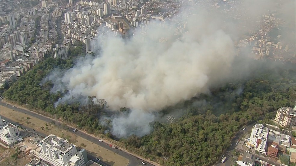 Incêndio no Parque Municipal Ursulina de Andrade Mello nesta segunda-feira (5) — Foto: Reprodução/TV Globo