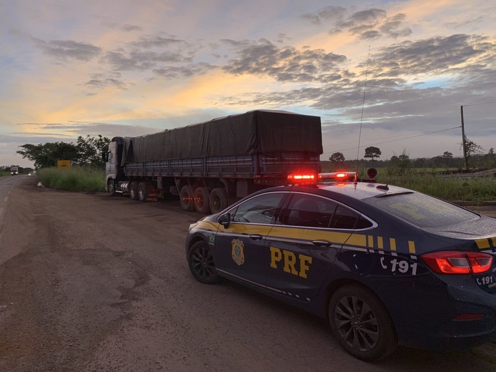 Veículos transportavam madeira extraída ilegalmente — Foto: Divulgação/PRF