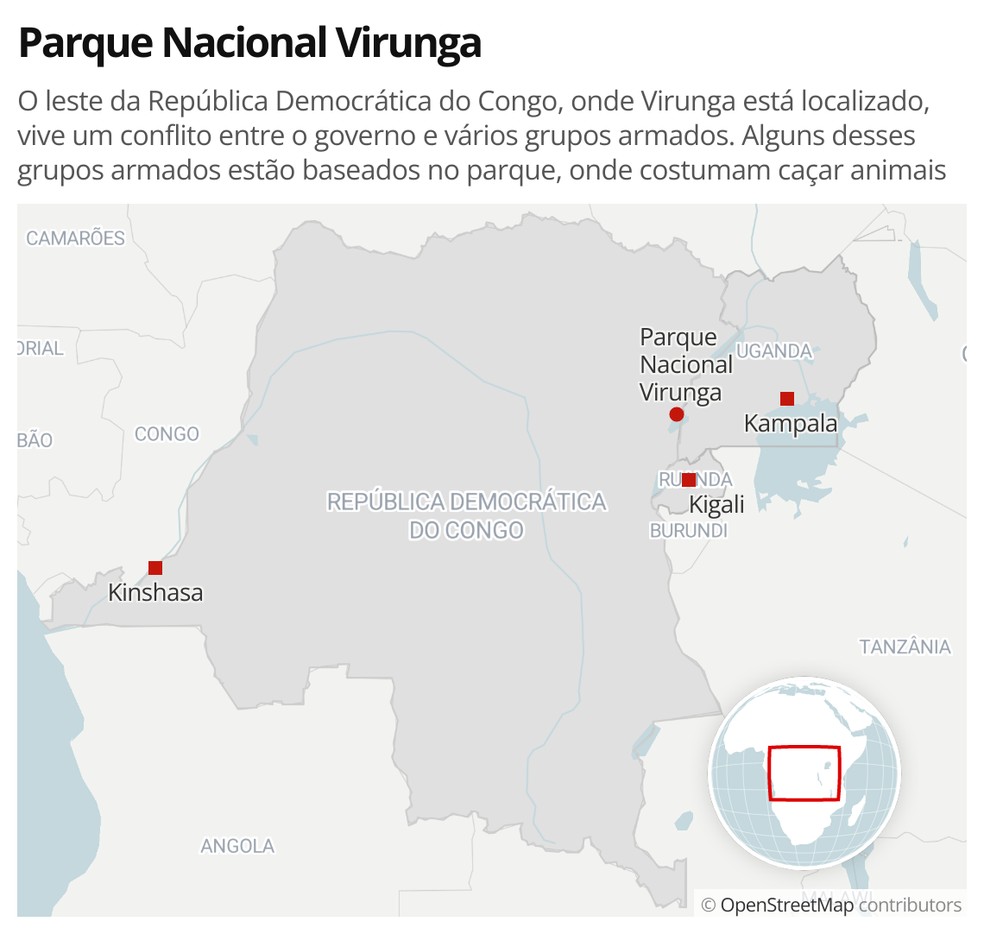 Parque Nacional Virunga: o leste da República Democrática do Congo, onde o Virunga está localizado, vive um conflito entre o governo e vários grupos armados. Alguns desses grupos armados estão baseados no parque, onde costumam caçar animais. — Foto: g1