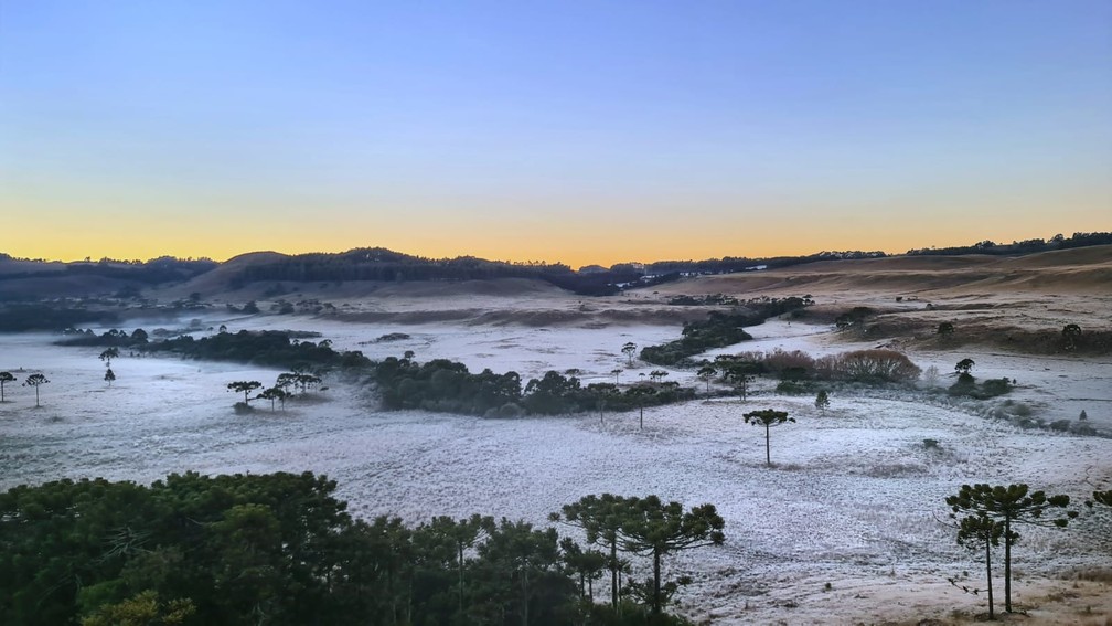 São Joaquim na manhã de terça-feira, na Serra catarinense — Foto: Mycchel Legnaghi / São Joaquim Online
