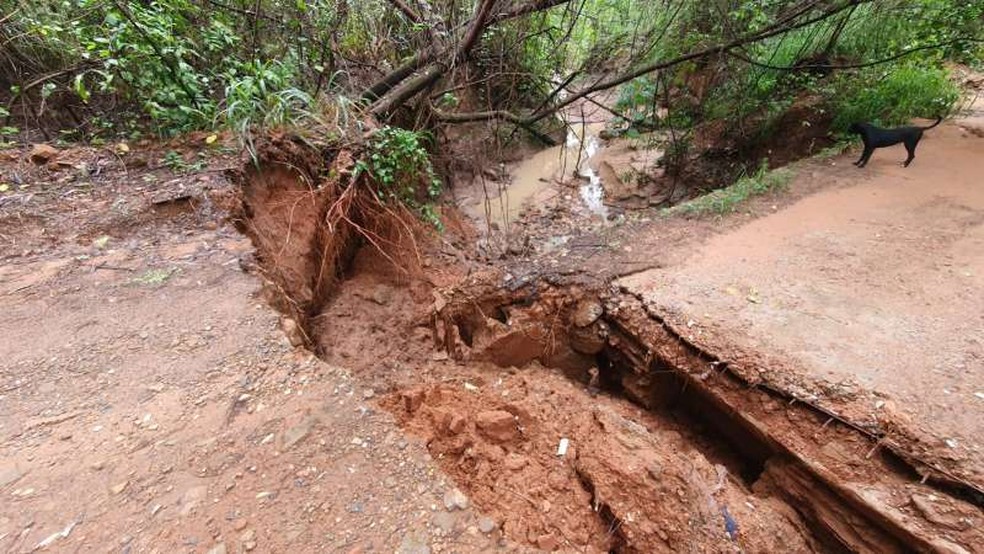 Dracena decreta situação de emergência por causa das chuvas intensas no município — Foto: Prefeitura de Dracena 