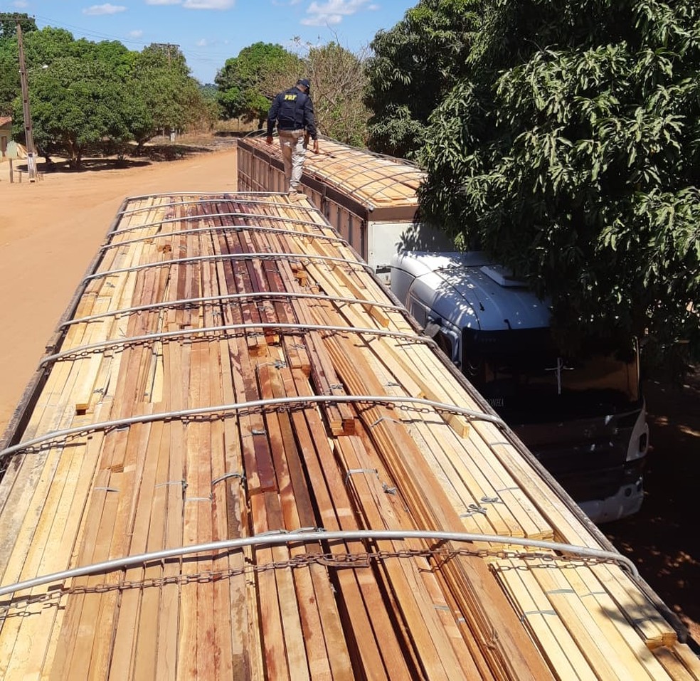 PRF apreende cinco carretas carregadas com madeira ilegal em Açailândia. — Foto: Divulgação/PRF.