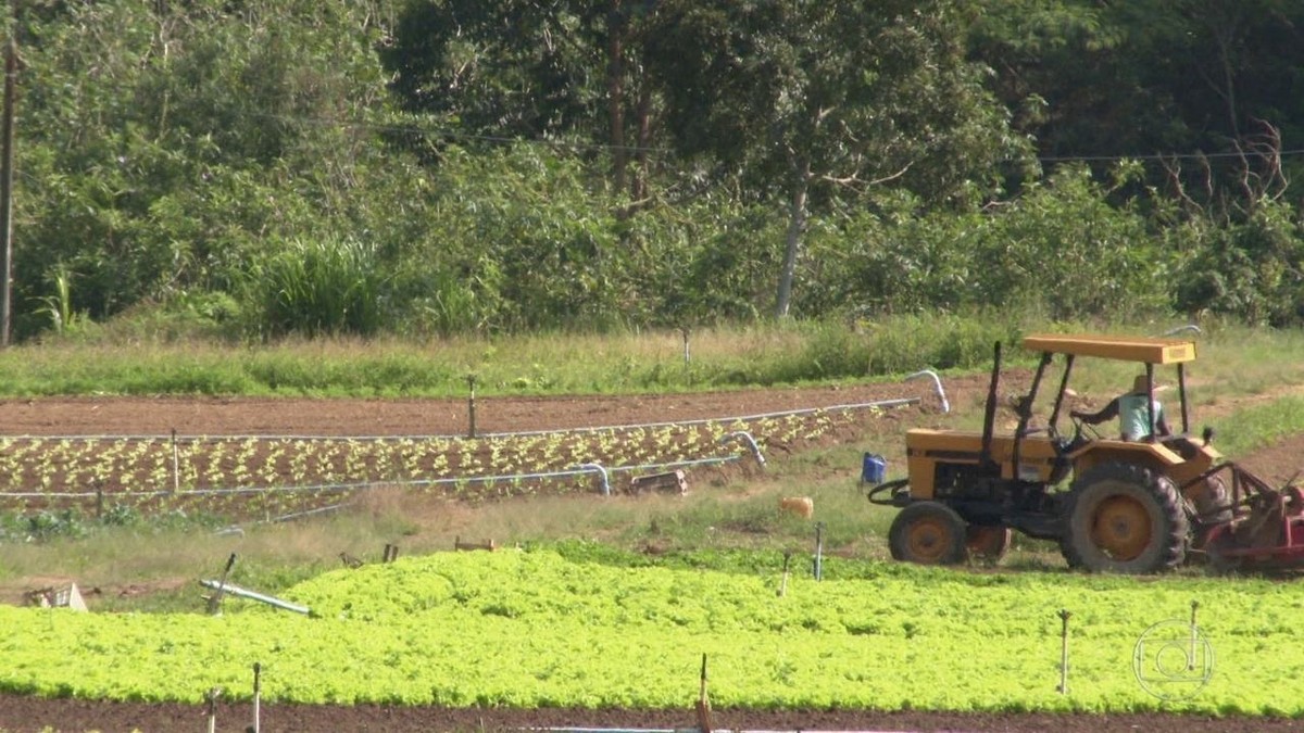 Apenas 36,8% da população rural na América Latina e Caribe tem acesso à internet de qualidade, diz estudo thumbnail