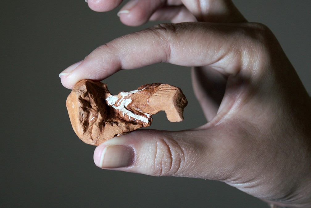 Pesquisadores identificam novo réptil brasileiro de 225 milhões de anos — Foto: Rodrigo Temo Müller/Divulgação