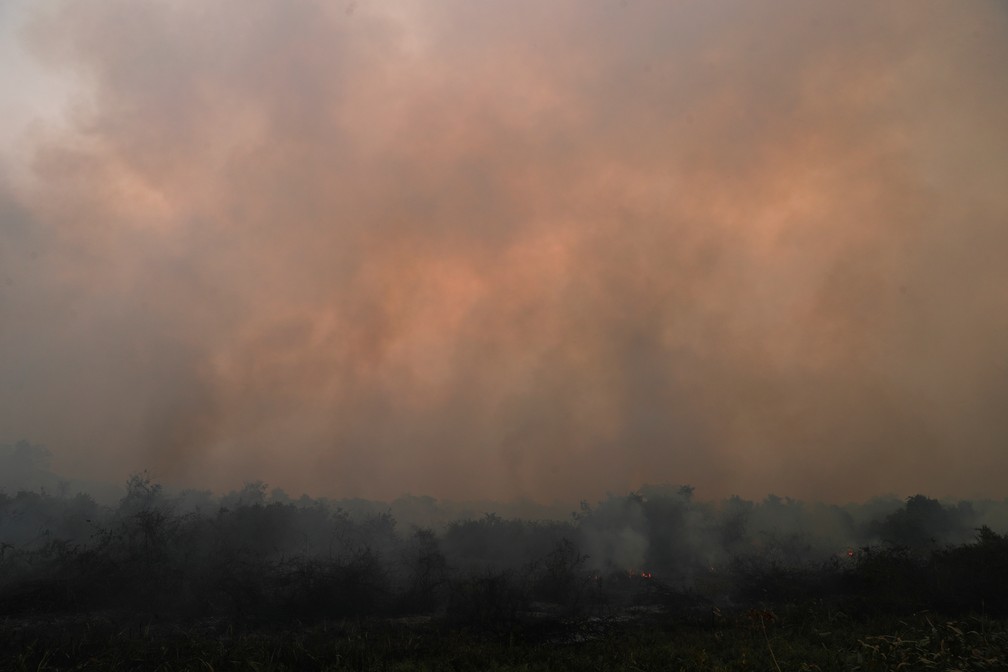 Fumaça sobe de incêndio no Pantanal em Poconé, Mato Grosso, no dia 27 de agosto. — Foto: Amanda Perobelli/Reuters