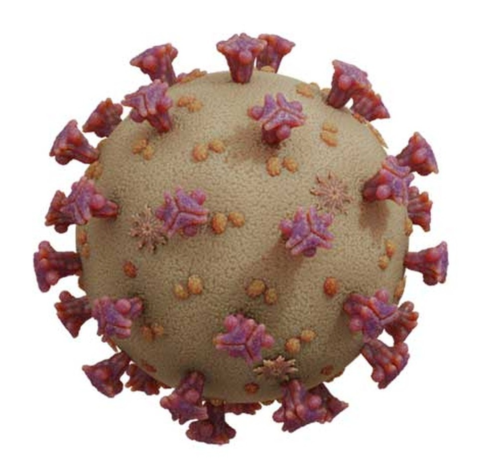 Imagem do coronavírus — Foto: Arte / G1