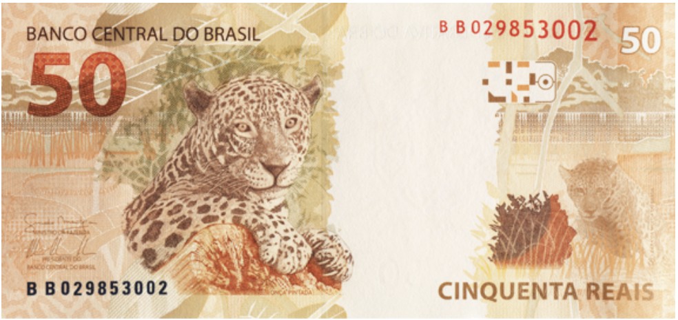 Nota de R$ 50,00 (verso) — Foto: Reprodução/Banco Central