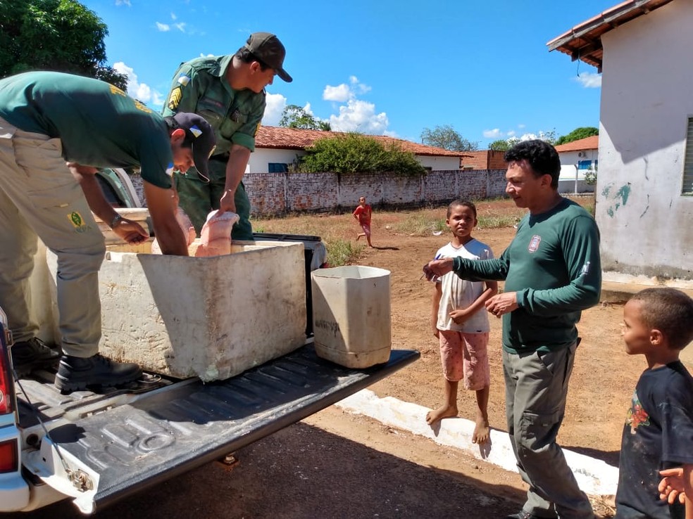 Peixes foram doados por estar em condições adequadas para consumo — Foto: Divulgação/Polícia Militar Ambiental