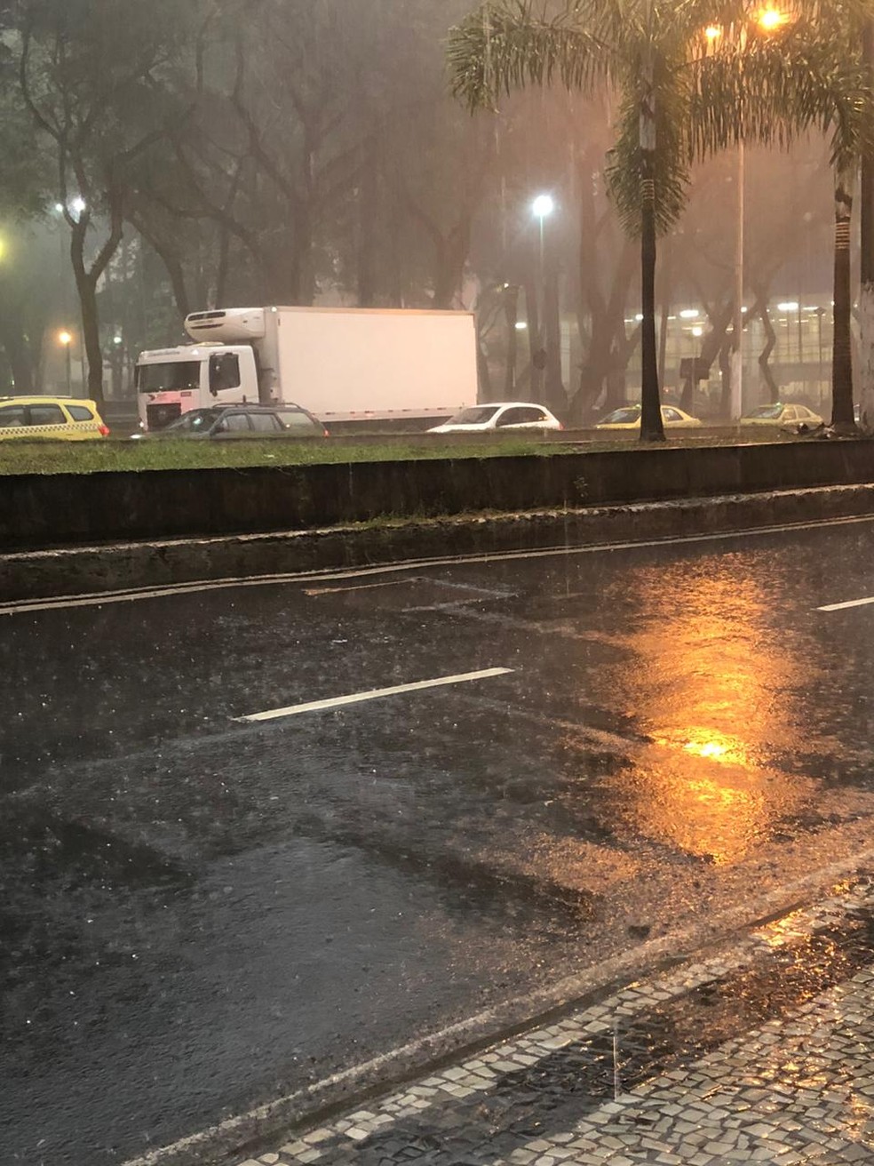 Chuva na Avenida Rio Branco em Juiz de Fora — Foto: Sulamita França/Arquivo Pessoal