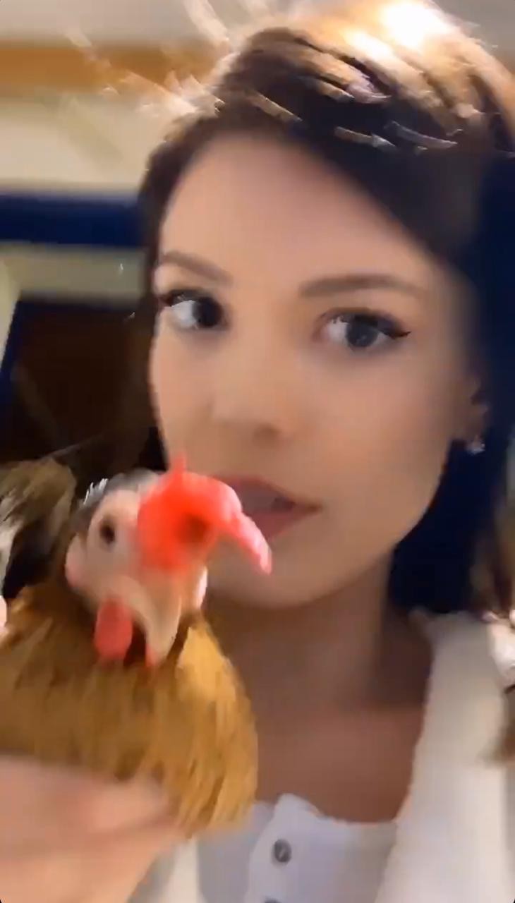 Vitoria Strada brinca com galinha e diverte elenco de Salve-se Quem Puder (Foto: Reprodução/ Instagram)