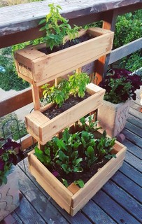 Neste projeto publicado no Pinterest, os paletes de madeira foram dispostos em efeito cascata para montar uma horta caseira e otimizar o espaço