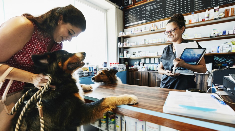 pet shop, pets, veterinario, animais, animal, estimação (Foto: Getty Images)