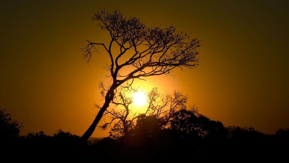 Calor no Distrito Federal, em imagem de arquivo — Foto: Joelson Maia /TV Globo