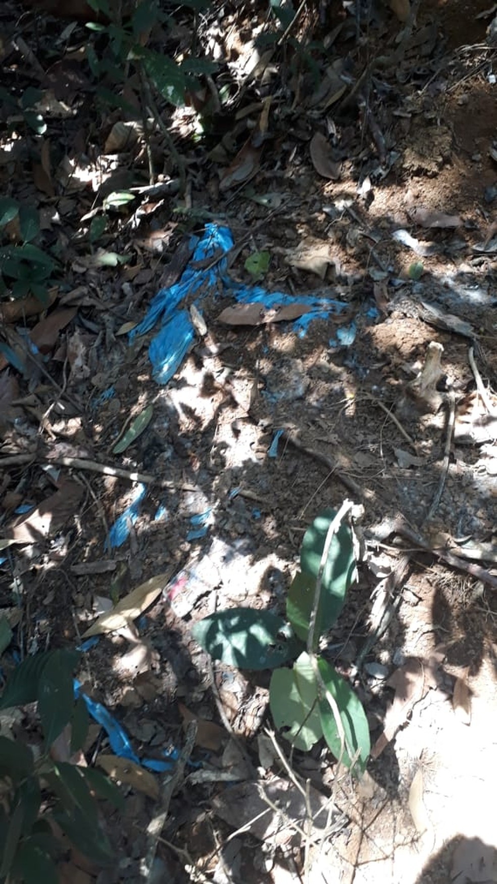 Restos mortais de Franciane foram encontrados enterrados em uma área de difícil acesso entre Miracema e a cidade de Palma (MG) — Foto: Divulgação/Polícia Civil