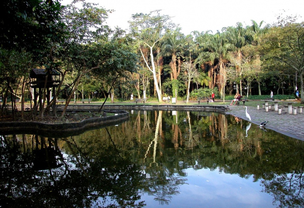 Jardim Botânico de Santos, SP, possuí uma vasta área verde de preservação  — Foto: Divulgação/Prefeitura de Santos