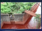 MP do Pará identifica novo despejo irregular de mineradora em Barcarena