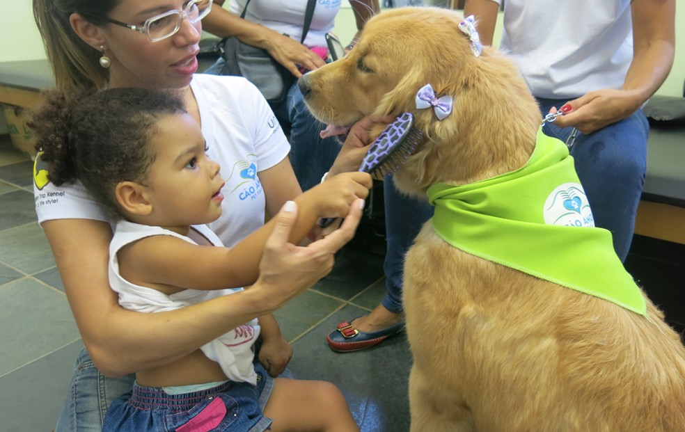 Menina escova pêlo do cachorro — Foto: Anna Gabriela Ribeiro / G1 Santos
