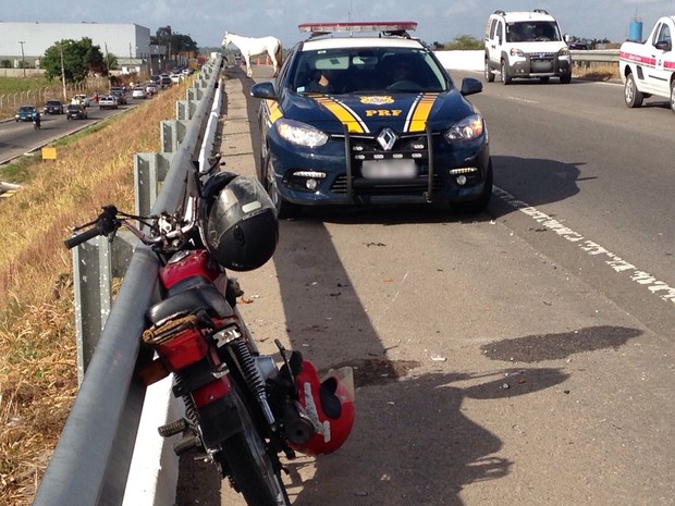 A pessoa que conduzia a moto bateu no animal que teria tentado atravessar a via (Foto: Walter Paparazzo/G1)