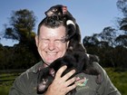 Diabos-da-Tasmânia livres de câncer são soltos na natureza na Austrália
