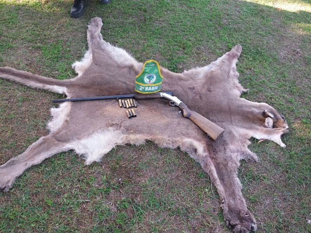 Pele do animal foi encontrada em cerca de propriedade rural no interior de Jari, RS (Foto: Divulgação/Polícia Civil)