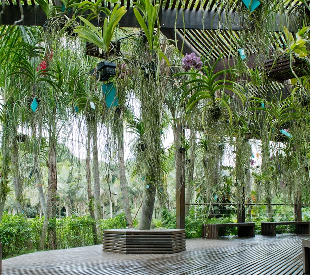 Entre os oito jardins temáticos, está o Vandário, que reúne orquídeas do grupo das vandáceas (Foto: William Gomes / Divulgação)