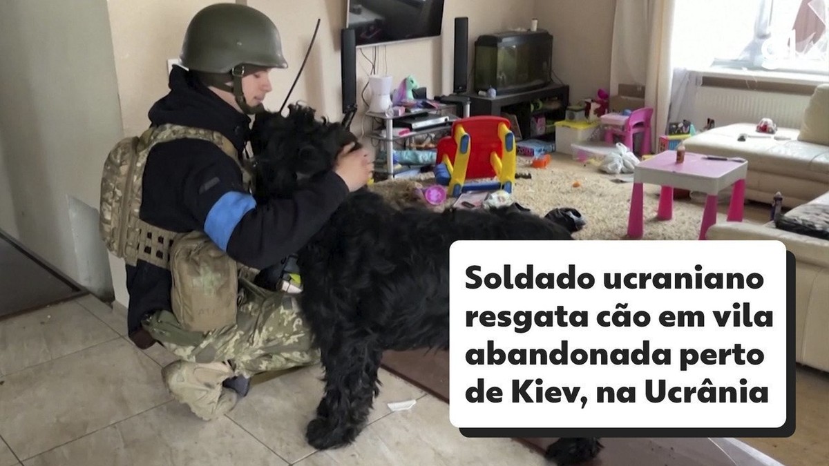 VÍDEO: Soldado ucraniano resgata em cão vila abandonada em Kiev |  Ucrânia e Rússia